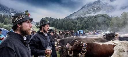 Auf einen Blick: Das sind die acht größten Viehscheide im Allgäu