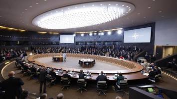 Nato einfach erklärt: Das ist Artikel 4 des Nordatlantikvertrags