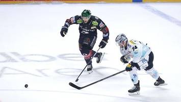 Eisbären: Die Entdeckung der Entschleunigung als Aufbauhilfe