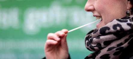 Ein Stäbchen Hoffnung: Wie aus einem Schicksalsschlag Österreichs größte Stammzell-Spenderdatei entstand