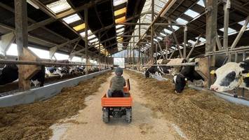 Ab in den Stall und querbeet durch die Vier- und Marschlande