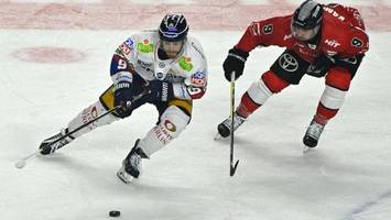 Eisbären-Gegner: Die Haie haben wieder richtig Biss