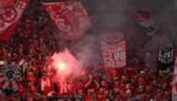 Fußball-Regionalliga: Hallescher FC verurteilt Gewalt beim Spiel gegen Chemie