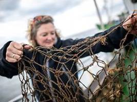 Tödliche Fallen für Meerestiere: Wie Taucher am Grund der Nordsee nach Geisternetzen jagen