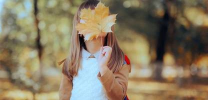 Schule: Jeder Herbst ist ein Anfang – wie wir unseren Familienalltag neu sortieren