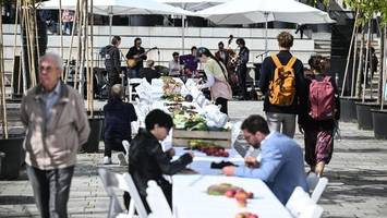 Tag im Grünen: Ein bisschen Paradies am Kulturforum