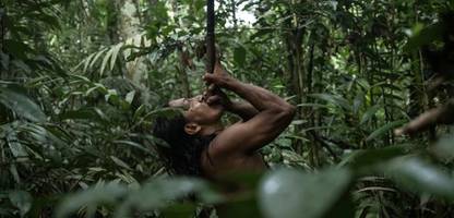 Amazonas: Indigene Schutzgebiete können vor Seuchen bewahren