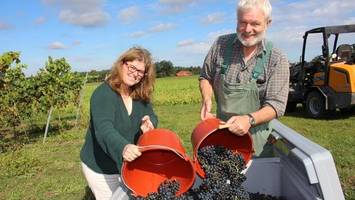 wein aus der lüneburger heide – gibt es hier sogar in bio-qualität