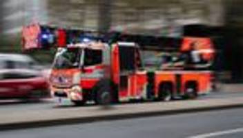 Feuer im Norden Berlins: Brand in Gartencenter - keine Verletzten