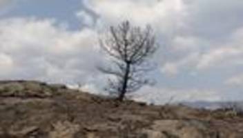 Extremwetter: Extremwetterereignisse kosten EU-Länder 126 Milliarden Euro