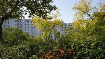 „Möchten das grüne Idyll behalten“: Innenhöfe bebauen, ja oder nein?