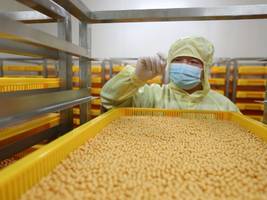 Krebsmedikamente aus China: Chinas Aufstieg zur Pharma-Supermacht
