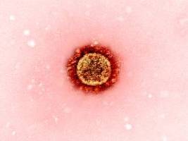 gefahr von virusmutationen: mann hat zwei jahre lang durchgehend corona