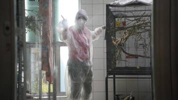 Erneut Vogelseuche in Berliner Tierheim ausgebrochen