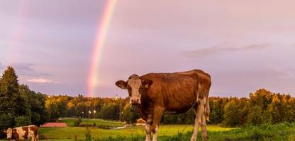 Wetter-Aussichten: Nochmal Hochsommer statt Herbst - so wird das Wochenende