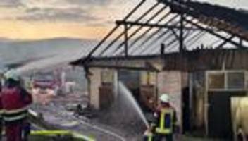 Feuerwehreinsatz: 16 Pferde sterben bei Stallbrand – Schaden in Millionenhöhe