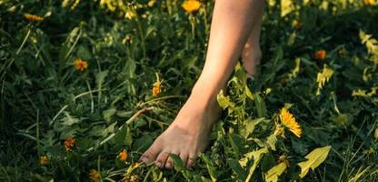 Ratschläge gegen Online-Radikalisierung: Darüber wächst kein Gras