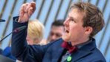 Grüne im Landtag: Zoff bei Grünen im Landtag: Fraktionsvize Damm vor Ablösung