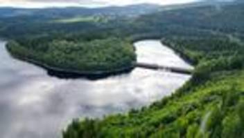 Waldumbau: Weniger Wald in Sachsen – Ausbauziel bisher verfehlt