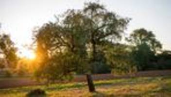 Wetter: Sommer-Comeback zum Wiesn-Start erwartet