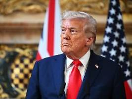 kreml hat 700.000 an der front: trump: putin hat mich wirklich hängenlassen