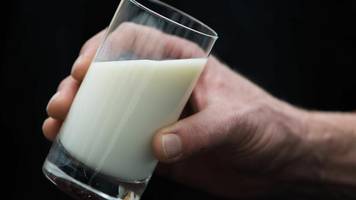milch-rückruf: medikamentenrückstände in trinkmilch entdeckt