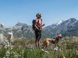 Schweiz: Weitwandern mit Hund