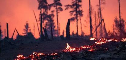 Waldbrände in Europa: Feuer setzen in Europa Rekordmenge an CO₂ frei