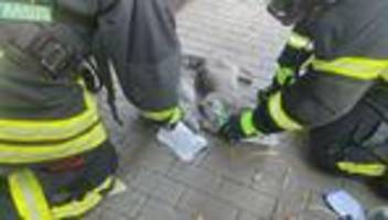 Zimmerbrand: Ein Mensch und zwei Katzen bei Feuer verletzt