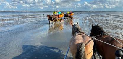 Hamburgs Nordseeinsel Neuwerk: »Einen Stadtteil zuzumachen, ist keine Option«