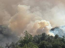 Öffentliche Gesundheit: Künftig mehr als eine Million Tote jährlich durch Brandrauch?