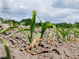wetterextreme: bessere unterstützung der bauern