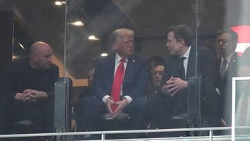 Donald Trump: Lippenleserin enthüllt geheime Worte an Musk
