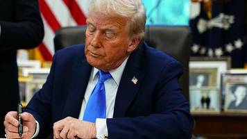 Teure H-1B-Visa: Donald Trump wird zum Talent-Schreck – Deutschland muss die Chance nutzen