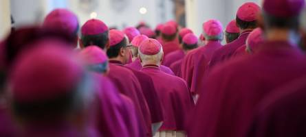Bischof Bätzing: „Der Papst ist kein Zauberer“