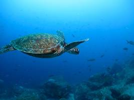 Umwelt: Sieben von neun Belastungsgrenzen des Planeten sind überschritten