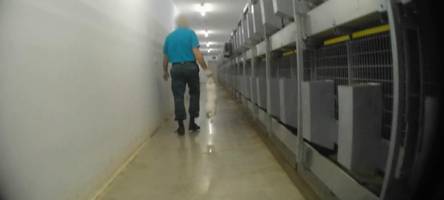 Kaninchen für Medikamentenproduktion: Betriebsleiter erhält Morddrohungen