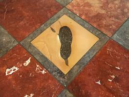 Dem Geheimnis auf der Spur: Fuchsteufelswild in der Frauenkirche