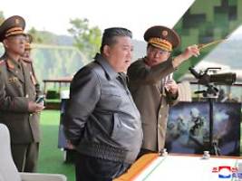 Als Nuklearmacht unumkehrbar: Nordkorea soll Uran für mehr als 40 Atombomben haben
