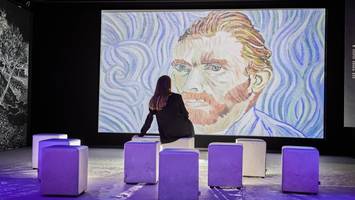 Van Gogh: Wie eine Frau im Alleingang sein Erbe gerettet hat