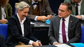 afd soll 107 kilo gold in liechtenstein versteckt haben