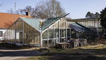 Neues Jazzcafé im Jenischpark: Grünes Licht für „spannendes Konzept“