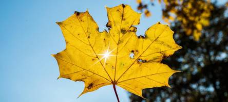 Gibt es in diesem Jahr den goldenen Oktober?