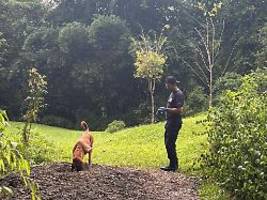 hund spürt leichen im garten auf: erschossenes pärchen in costa rica - frau aus Österreich