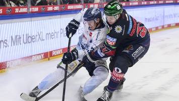eisbären kassieren die dritte niederlage in folge