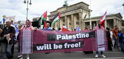 Die Linke und Israel: So spaltet der Streit über Nahost die Partei