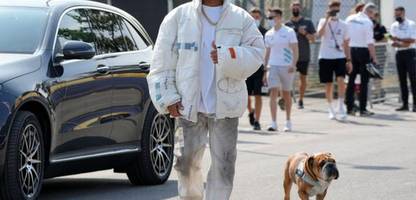Formel-1-Star Lewis Hamilton in großer Sorge um Bulldogge Roscoe