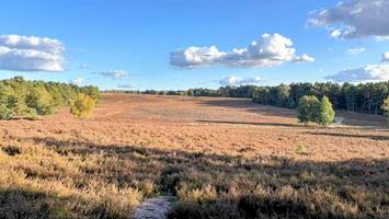 Herbst-Tipp: So gelingt der Ausflug in die Fischbeker Heide