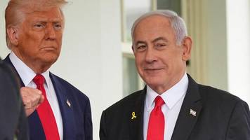 Gaza-Krieg: Trumps neuer Friedensplan für Gaza: Wie stehen die Chancen?