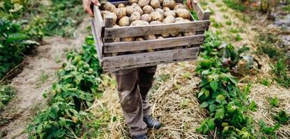 Arbeit auf dem Feld: Die Bauern und die anderen - Kolumne
